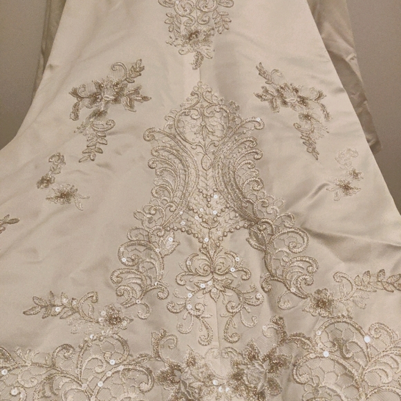 David's Bridal Wedding Dress - Picture 7 of 8